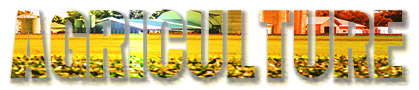 Agriculture