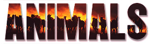 Animals