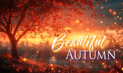 Beautiful Autumn - Amazing Fall at Sunset