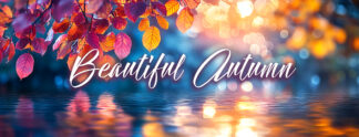 Beautiful Autumn - Urban Pond and Leaves at Sunset