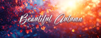 Beautiful Autumn Banner - Leaves and Sunset Background