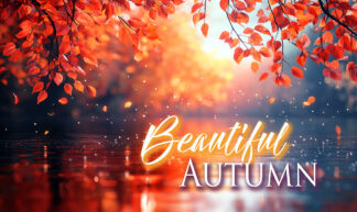 Beautiful Autumn - Colorful Decor at Fall