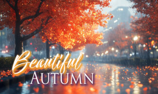 Beautiful Autumn - Colorful Urban Park at Fall