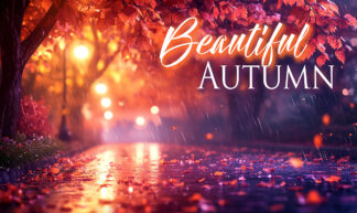 Beautiful Autumn - Purple and Orange Park Alley