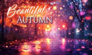 Beautiful Autumn - Purple and Orange Park Scene
