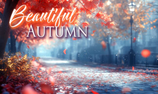 Beautiful Autumn - Small Park Alley at Fall