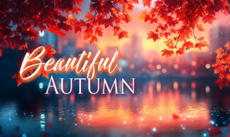Beautiful Autumn - Urban Pond and Leaves at Sunset