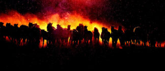 Blazing Group Of Horses Running - stock photos and royalty-free images
