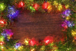 Christmas Lights Set on Tree Branches