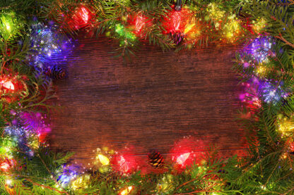 Christmas Lights Set on Tree Branches