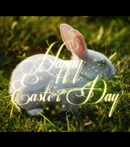 Cute Happy Easter Bunny 2