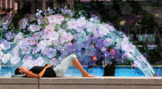 Flowers Splash - stock photos and royalty-free images