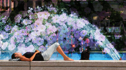 Flowers Splash - stock photos and royalty-free images