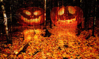 Halloween Scary Wood 2 - stock photos and royalty-free images