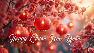 Happy Lunar New Year - Pink Trees and Lights