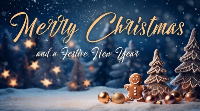Merry Christmas and a Festive New Year
