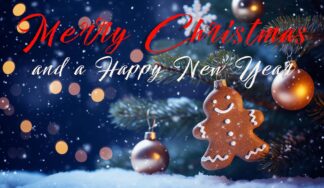 Merry Christmas and a Happy Snowy New Year