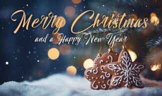 Merry Christmas Day and a Happy New Year