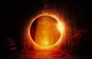 Mysterious Woods Stock Photo Montage
