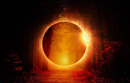 Mysterious Woods Stock Photo Montage