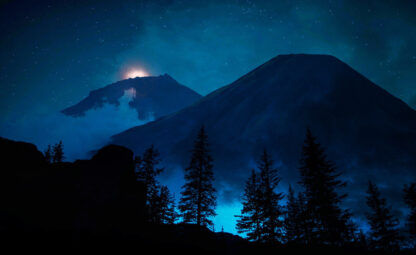 Mystery Woods at Night 01 - stock photos and royalty-free images