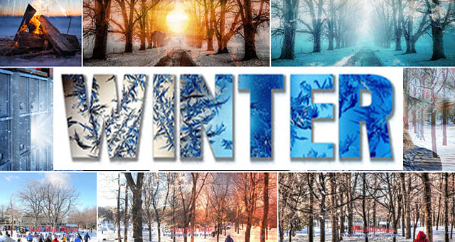 ogWinter - stock photos and royalty-free images