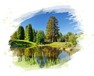 Quiet Sanctuary Pond on White