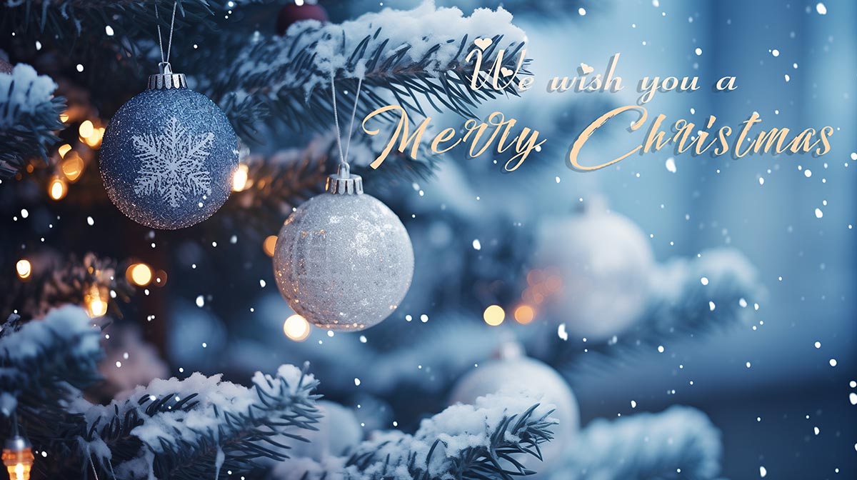 We wish you a Merry Christmas Day