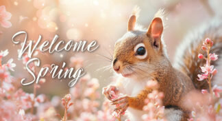 Welcome Spring - Adorable Squirrel in Nature Photo