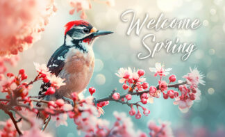 Welcome Spring Banner - Colorful Woodpecker Photo