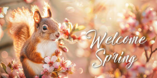 Welcome Spring - Cute Red Squirrel in Nature Photo