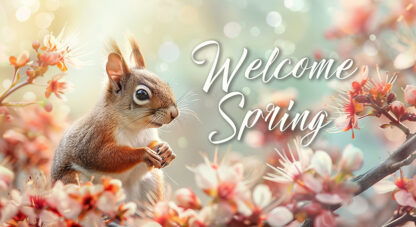 Welcome Spring - Cute Squirrel in Wilderness Photo