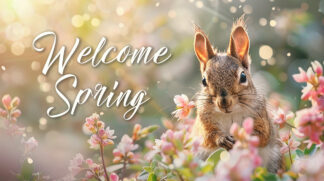 Welcome Spring - Funny Squirrel in Wilderness Photo