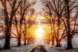 Wintery Road 01 - stock photos and royalty-free images