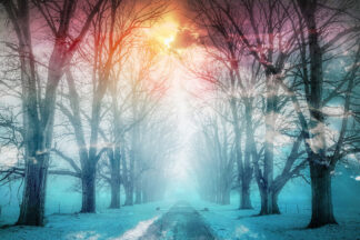 Wintery Road 02 - stock photos and royalty-free images