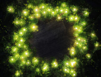 Yellow Round Christmas Lights Set